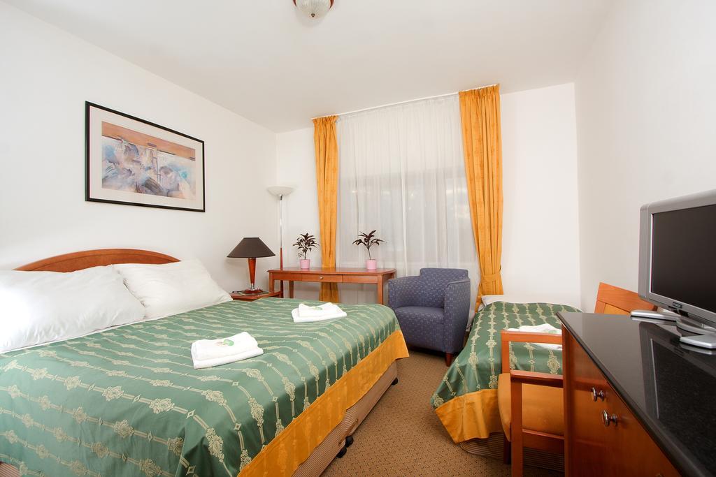 Hotel Chotol 호로메리스 객실 사진
